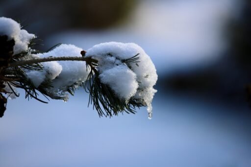 Estére markáns időjárási fordulat jön: lassan enyhül a rendkívüli hideg
