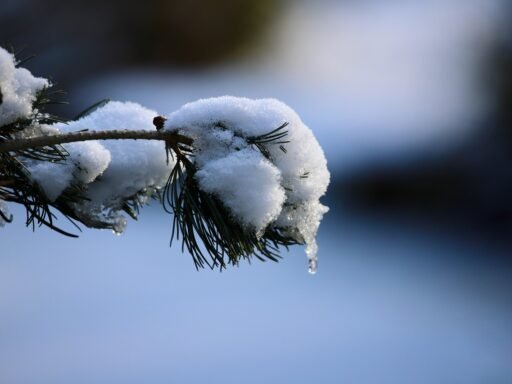 Estére markáns időjárási fordulat jön: lassan enyhül a rendkívüli hideg