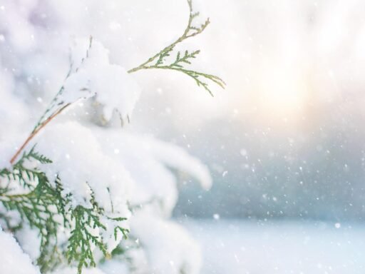 Visszatérhet még a havazás? Itt vannak a friss riasztási részletek – sárga figyelmeztetés több térségben