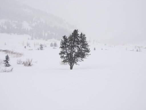 Narancs riasztás lépett életbe: jelentős havazás és hófúvás érkezik