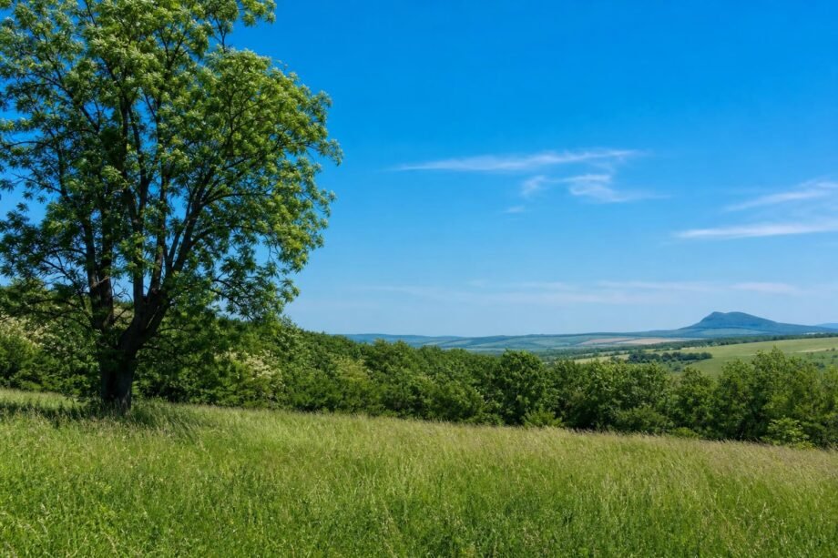 Napos, meleg szerda várható, akár 28 fokkal