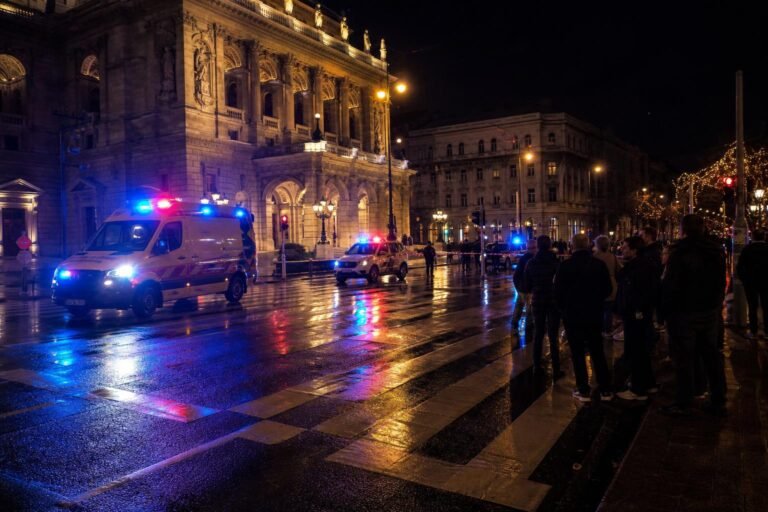 Rátámadtak egy férfira a Vígszínházzal szembeni zebrán, a rendőrök elfogták a támadót
